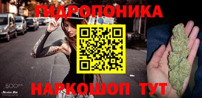 гидропоника Ирбит