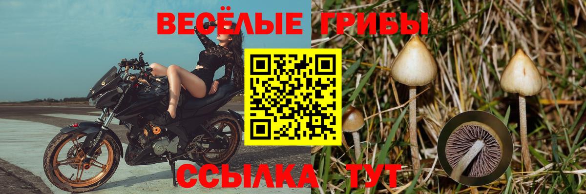 Галлюциногенные грибы ЛСД  Вход с VPN  Гусиноозёрск  Галлюциногенные грибы мухоморы 